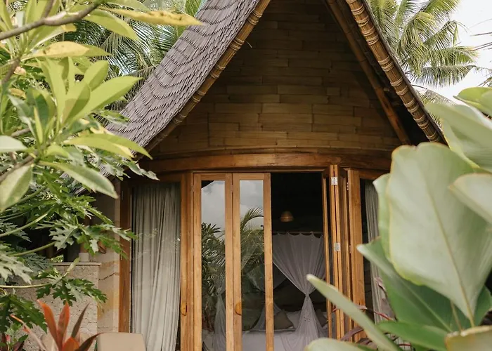 Solana Wellness Retreat Resort