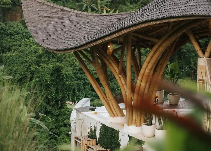 Solana Wellness Retreat Resort
