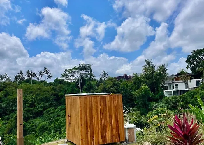 Solana Wellness Retreat Resort